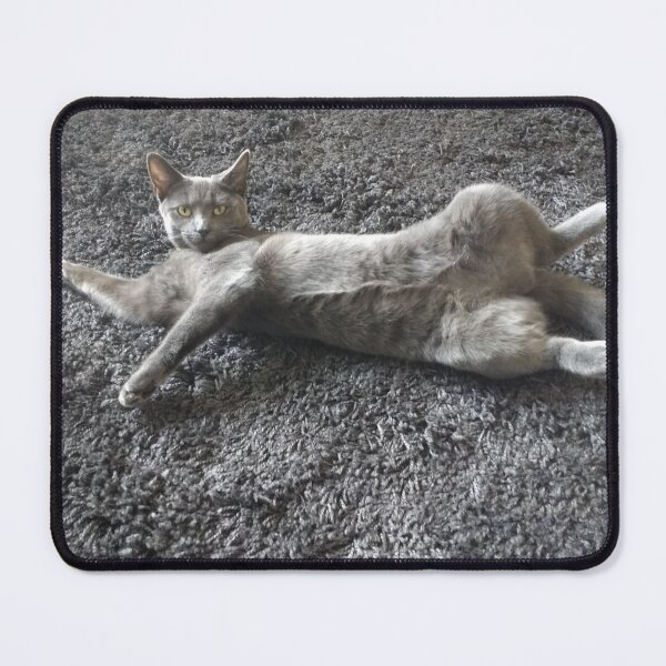 Item preview, #292 |☼| Mimi Sprawled Out - Shot 2 (Cats) designed and sold by Naean H.F. (Nez Man).