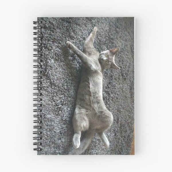 Item preview, #292 |☼| Mimi Sprawled Out - Shot 2 (Cats) designed and sold by Naean H.F. (Nez Man).