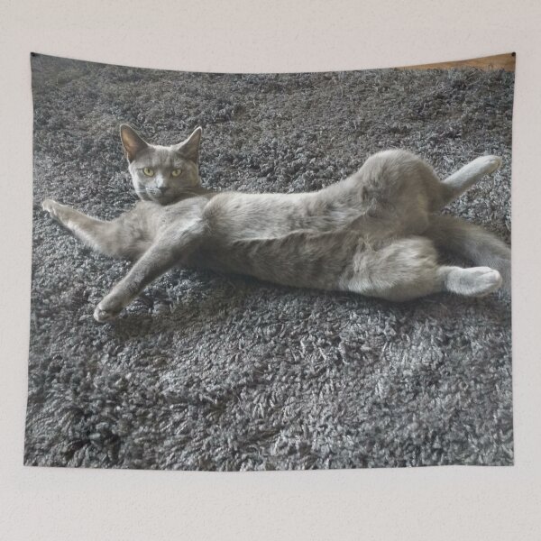 Item preview, #292 |☼| Mimi Sprawled Out - Shot 2 (Cats) designed and sold by Naean H.F. (Nez Man).