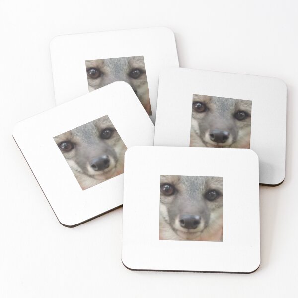 Item preview, Nikita Grey Fox SaveAFox designed and sold by AllisonZoeyy Creates.