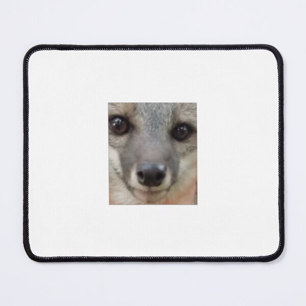 Item preview, Nikita Grey Fox SaveAFox designed and sold by AllisonZoeyy Creates.
