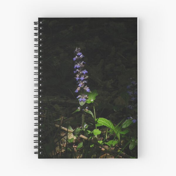 Item preview, Common Bugle, Bradfield Woods, Suffolk designed and sold by wiggyofipswich.