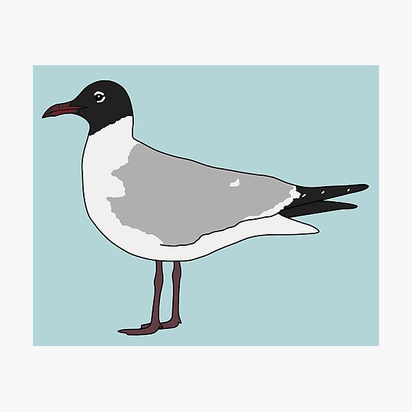 Item preview, Laughing Gull designed and sold by taylorrowan.