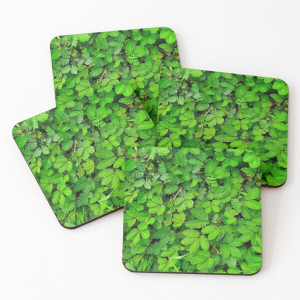Item preview, plant grass you touch it and it dies designed and sold by Melquidedec.