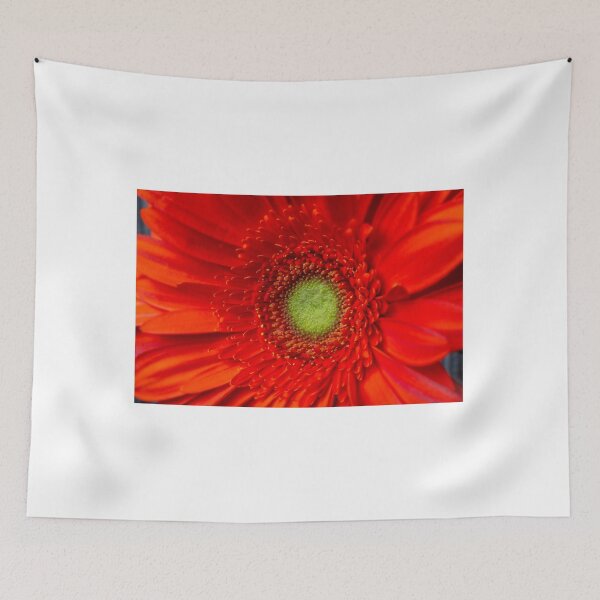 Item preview, Close Up Of Orange Gerbera Daisy designed and sold by Garry Gay.