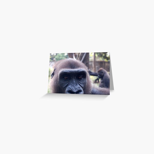 The Look Greeting Card