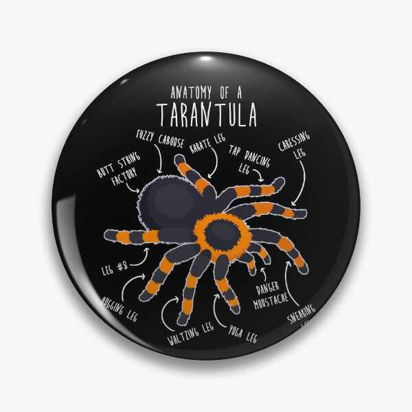 Item preview, Tarantula Anatomy designed and sold by Clara Hollins.