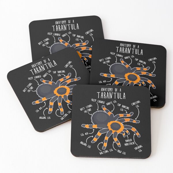 Item preview, Tarantula Anatomy designed and sold by Clara Hollins.