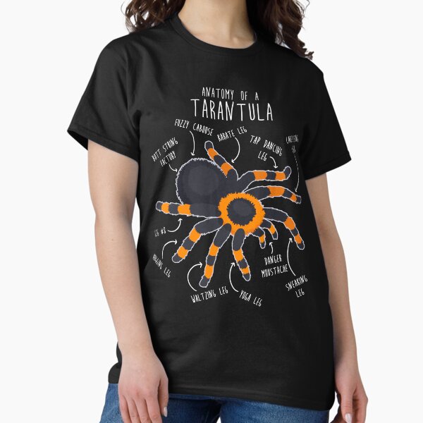 Item preview, Tarantula Anatomy designed and sold by Clara Hollins.
