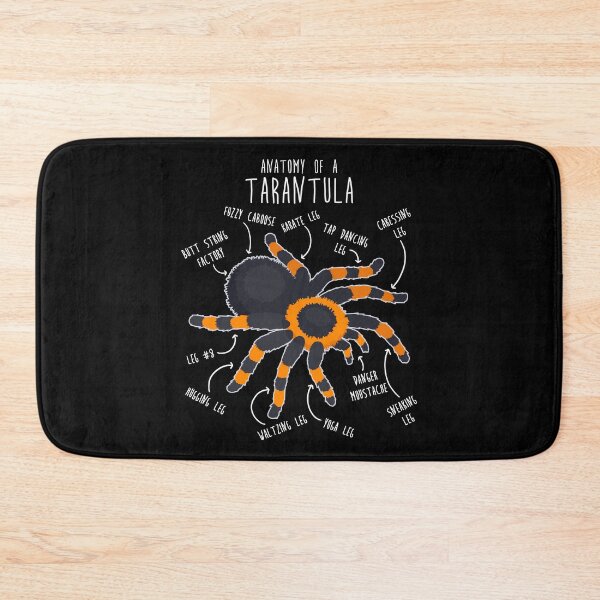Item preview, Tarantula Anatomy designed and sold by Clara Hollins.