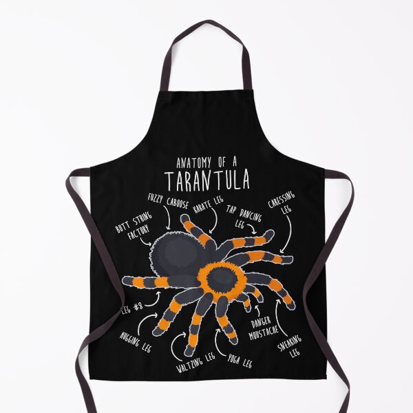 Item preview, Tarantula Anatomy designed and sold by Clara Hollins.