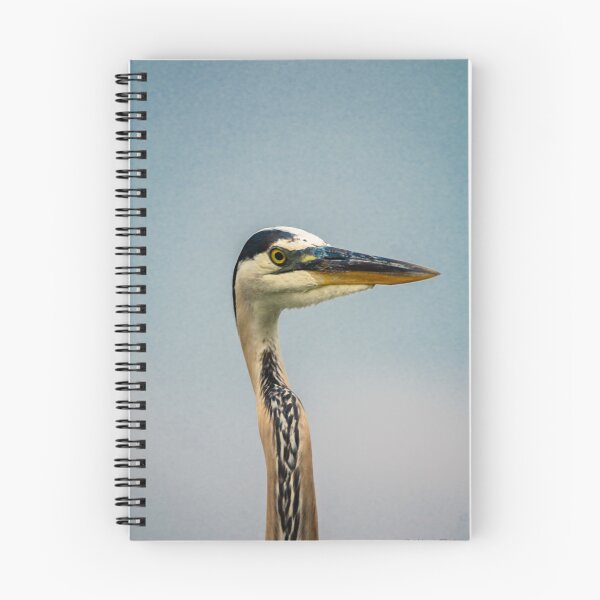 Item preview, Blue Herron in Florida designed and sold by rowdyphotoco.
