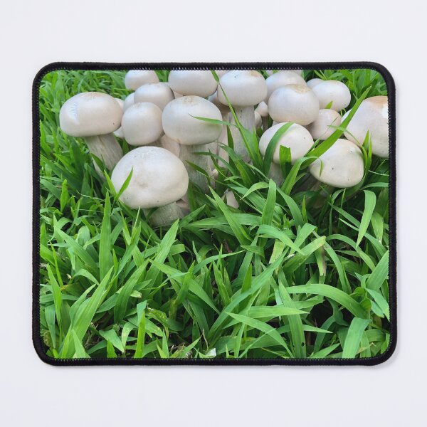 Item preview, mushrooms in the grass designed and sold by longduckdong02.
