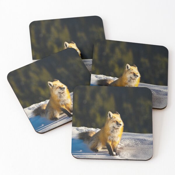 Item preview, Red Fox in Colorado designed and sold by rowdyphotoco.