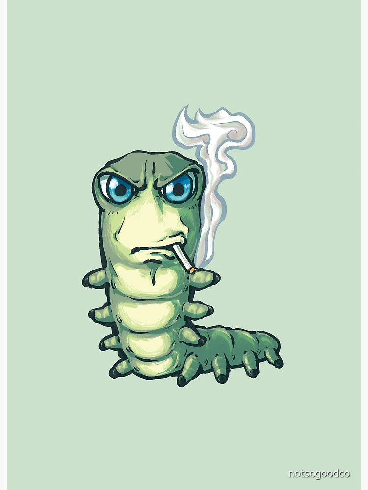 carbon monoxide from cigarettes Self-reported smoking status and exhaled carbon monoxide in secondary  preventive follow-up after coronary heart events: Do our patients tell the  truth?