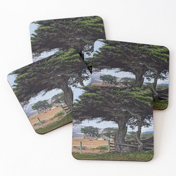 Item preview, Juniper Trees  designed and sold by CarolM.