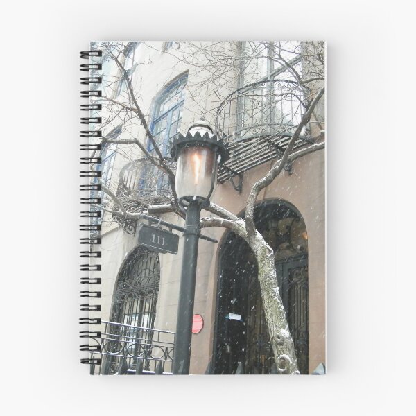 Item preview, Classic Lamp, Classic Architecture, Snow View, Murray Hill, New York City designed and sold by lenspiro.