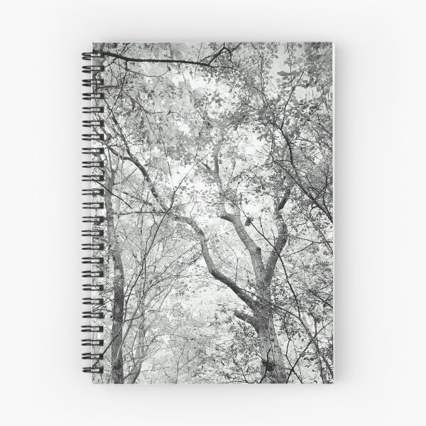 Item preview, Forest Bathing In Monochrome designed and sold by Paula B.