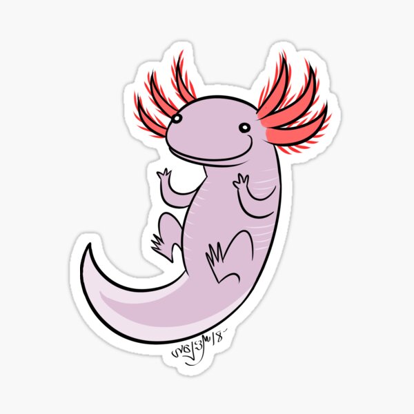Axolotl love Sticker
