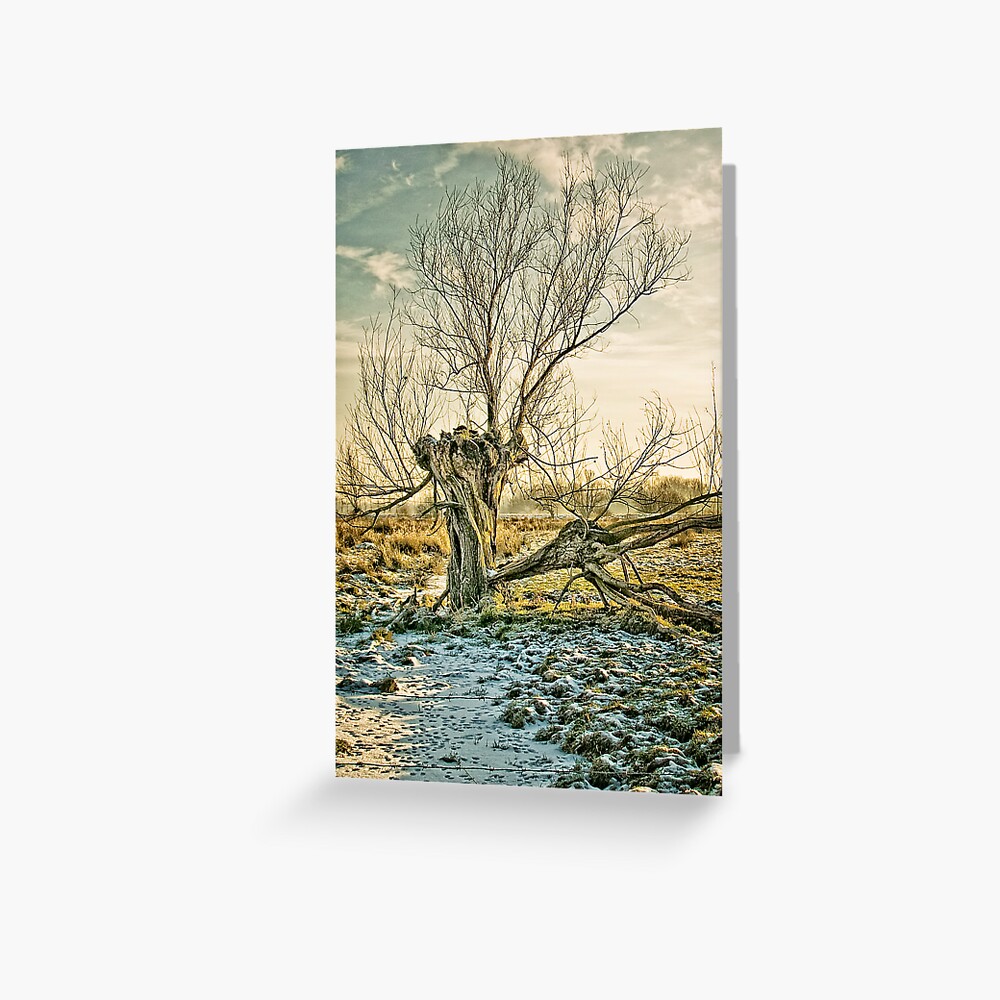 split Greeting Card