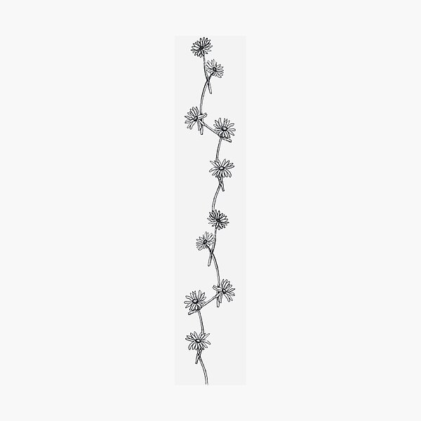Items similar to Daisy chain illustration on Etsy  Tattoos for women  flowers Flower spine tattoos Spine tattoos for women
