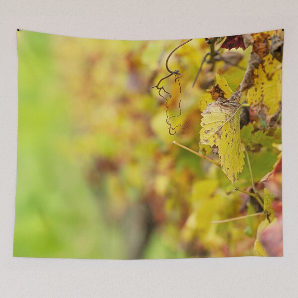 Item preview, Colours of the Vineyard, Red Hill Estate Winery, Mornington Peninsula designed and sold by Liza Clements Photographic.