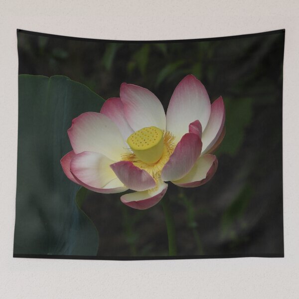Item preview, Pink & White Lotus Flower designed and sold by Linda Sijpkes.