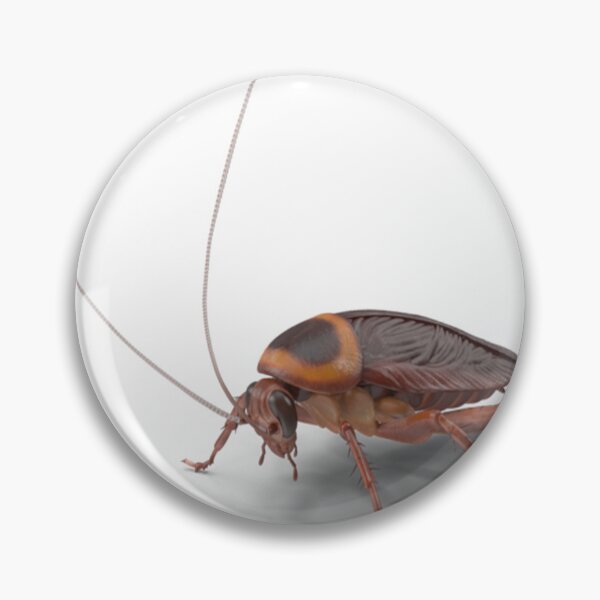 Item preview, brown cockroach with long beard and thorny legs designed and sold by EphraimTorp33.