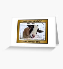 Just been wonderin' Greeting Card