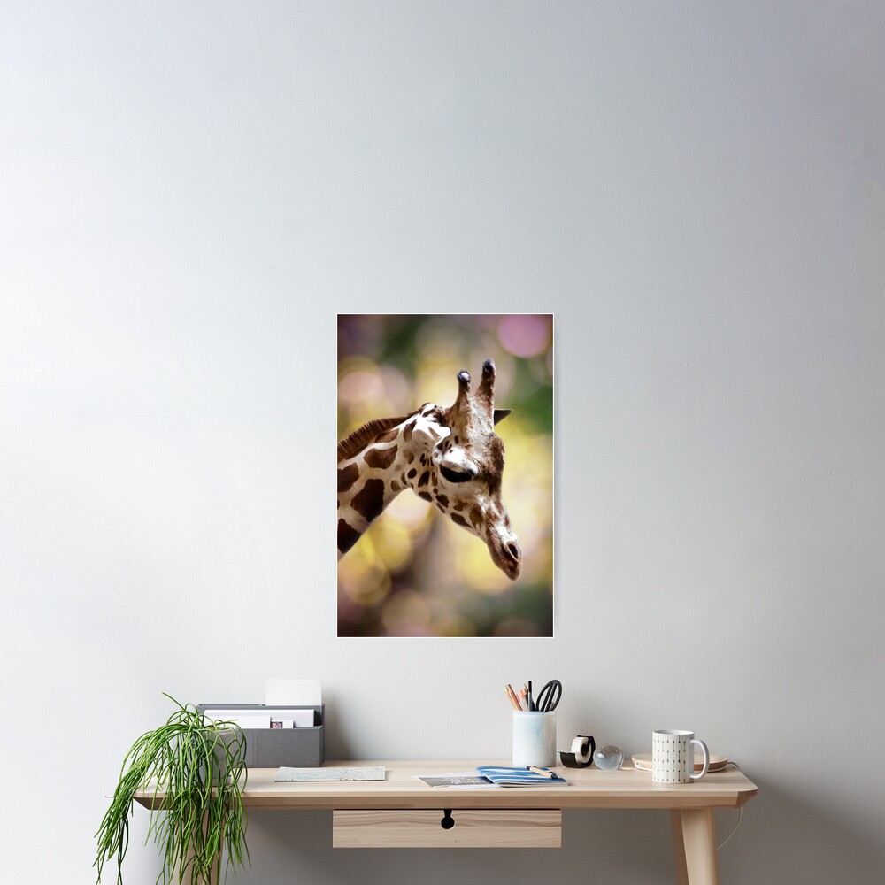 Item preview, Poster designed and sold by DaogreerEarth.