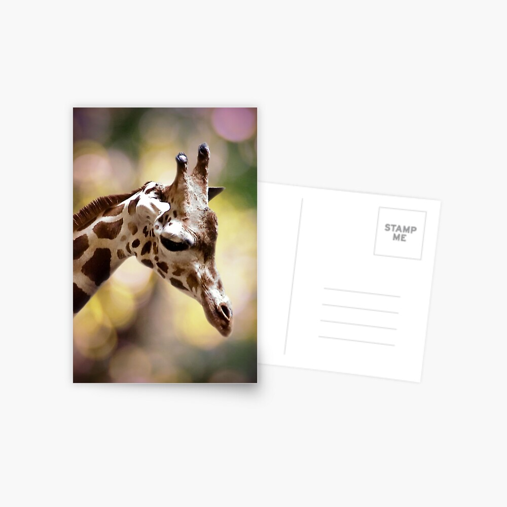 Item preview, Postcard designed and sold by DaogreerEarth.