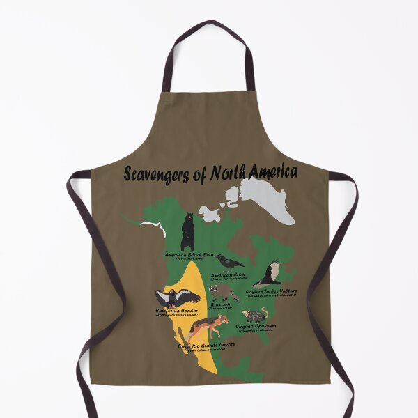 Item preview, Scavengers of North America - Educational Ecology Map designed and sold by DesignsbyJBird.