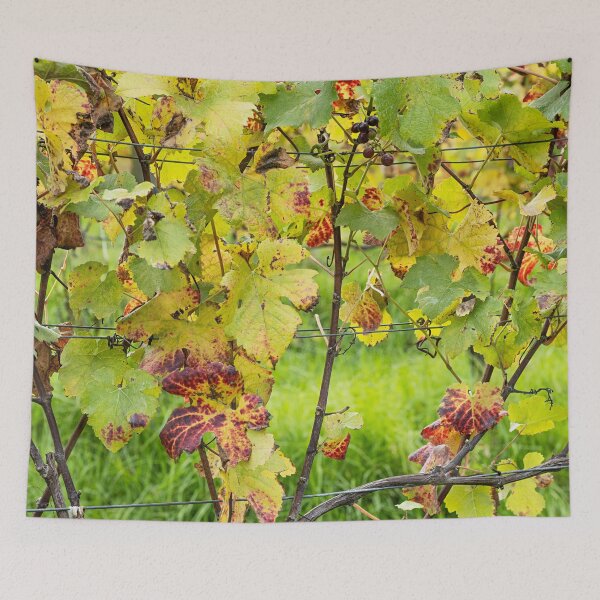 Item preview, On the Grapevine, Red Hill Estate Winery, Mornington Peninsula designed and sold by Liza Clements Photographic.