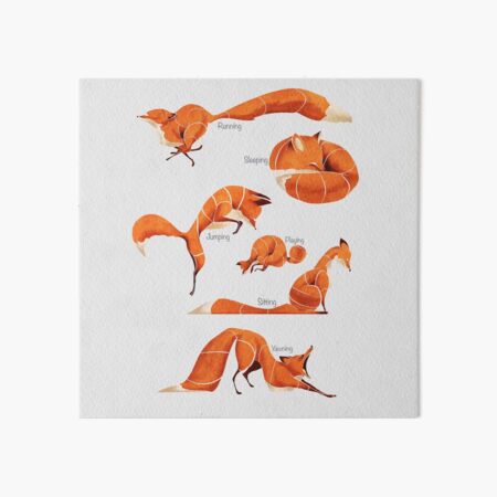 Item preview, Fox poses  designed and sold by saeiart.