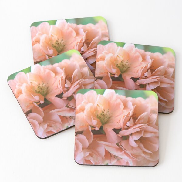 Item preview, Peach Chaenomeles Flowers designed and sold by Sonya Umble.