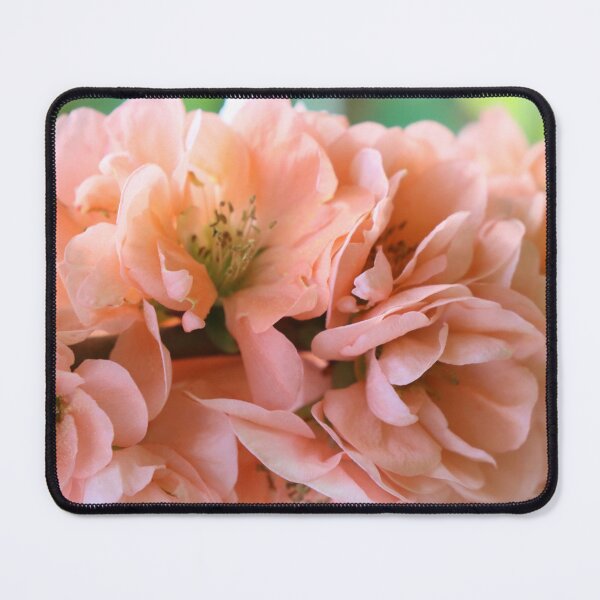 Item preview, Peach Chaenomeles Flowers designed and sold by Sonya Umble.