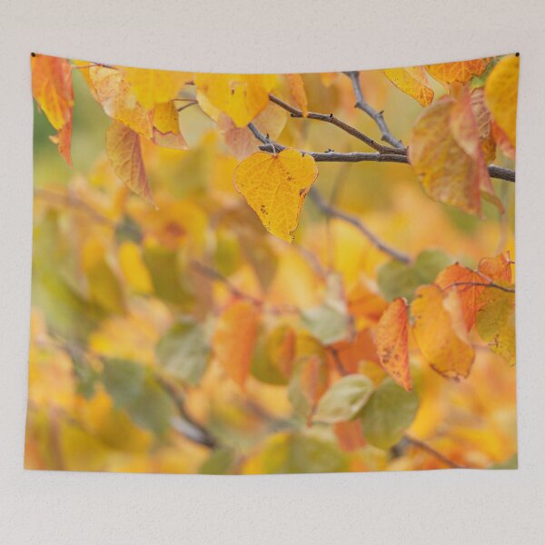 Item preview, Autumn colours, orange, yellow and green leaves falling from the tree designed and sold by Liza Clements Photographic.