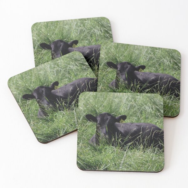 Item preview, Black Angus Calf  designed and sold by Sonya Umble.