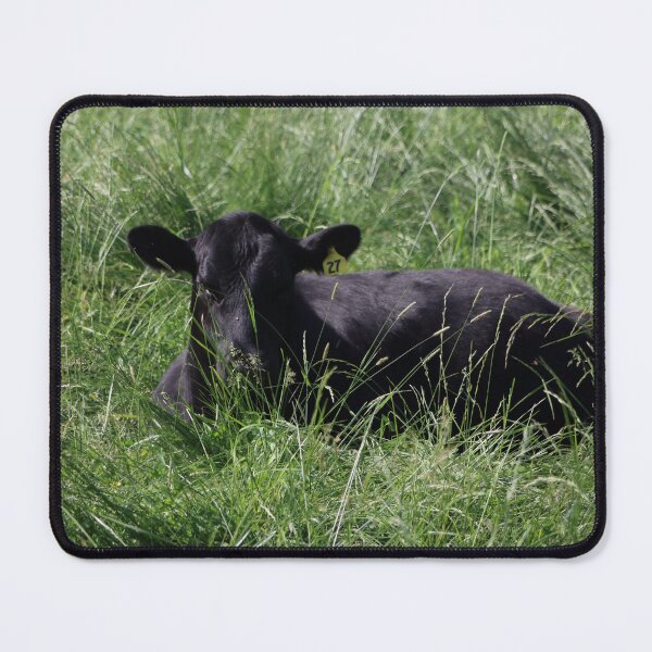 Item preview, Black Angus Calf designed and sold by Sonya Umble.