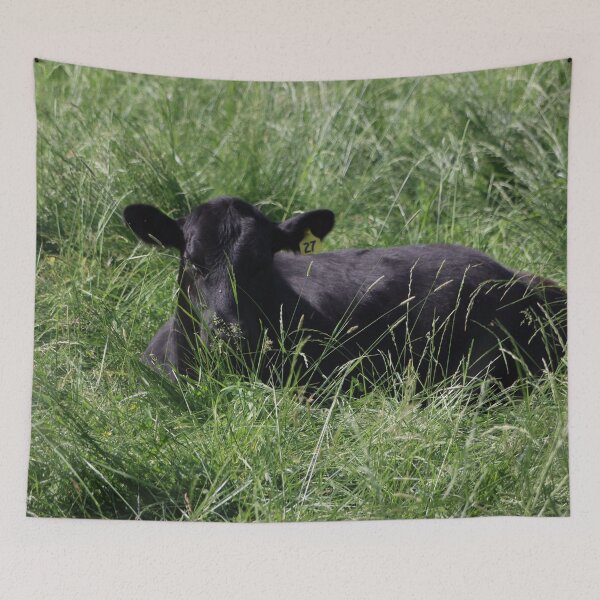 Item preview, Black Angus Calf  designed and sold by Sonya Umble.