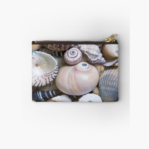 Item preview, Sea Shell Collection designed and sold by artsandsoul.