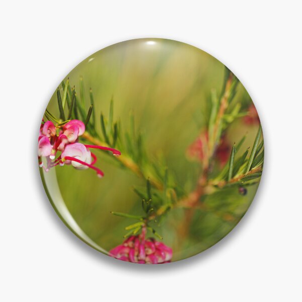 Item preview, Grevillea Flower Has Branch Ornaments designed and sold by Joy Watson - Natural Light Photography .