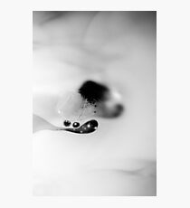 Amoeba Photographic Print