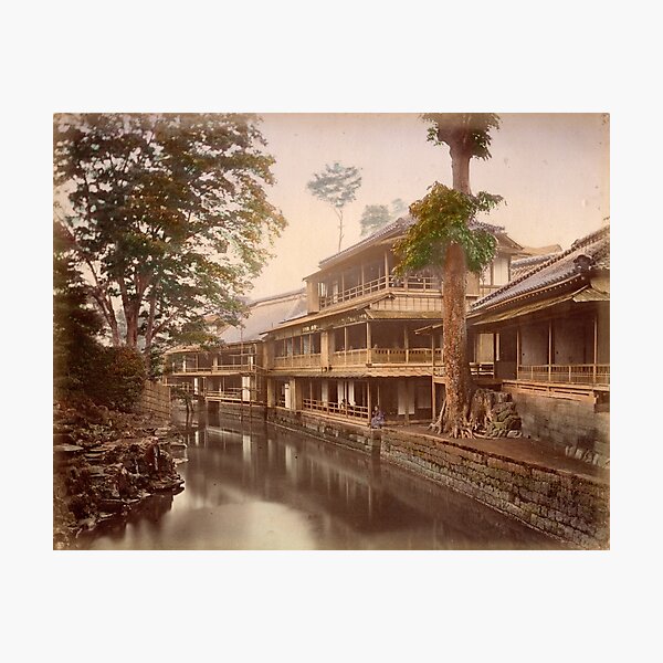 Tea house Photographic Print