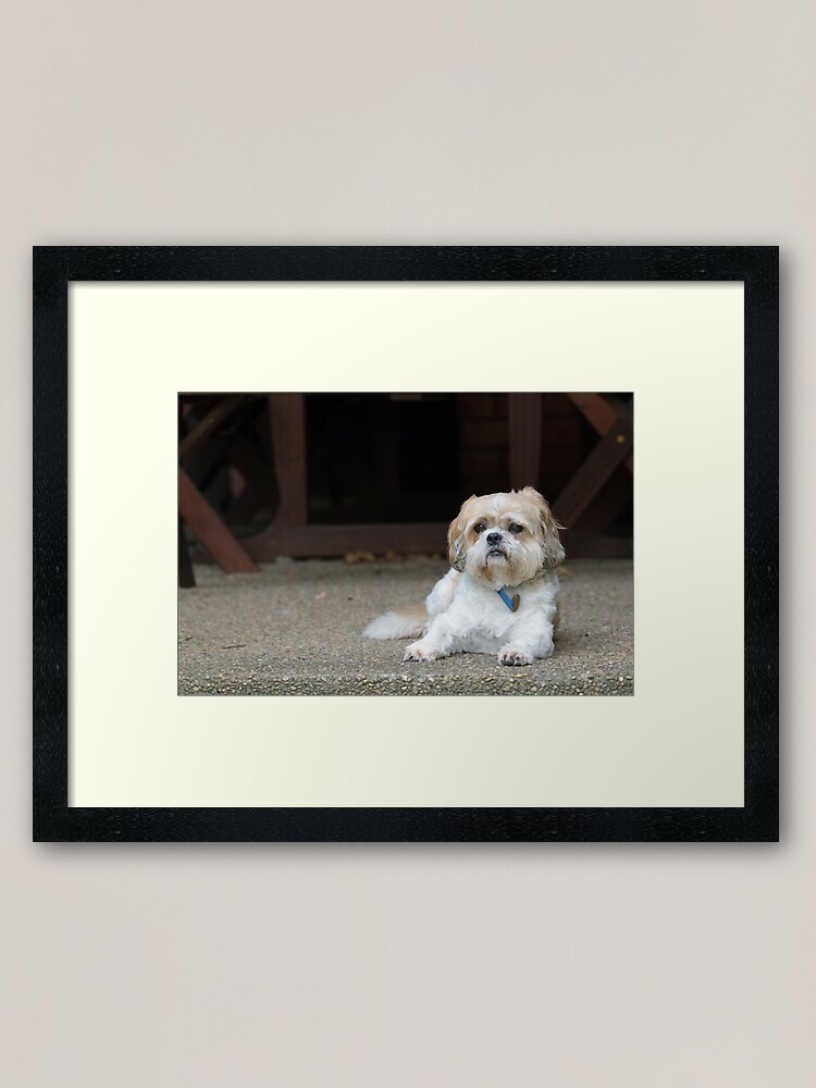 Alternate view of Harry On The Verandah Framed Art Print