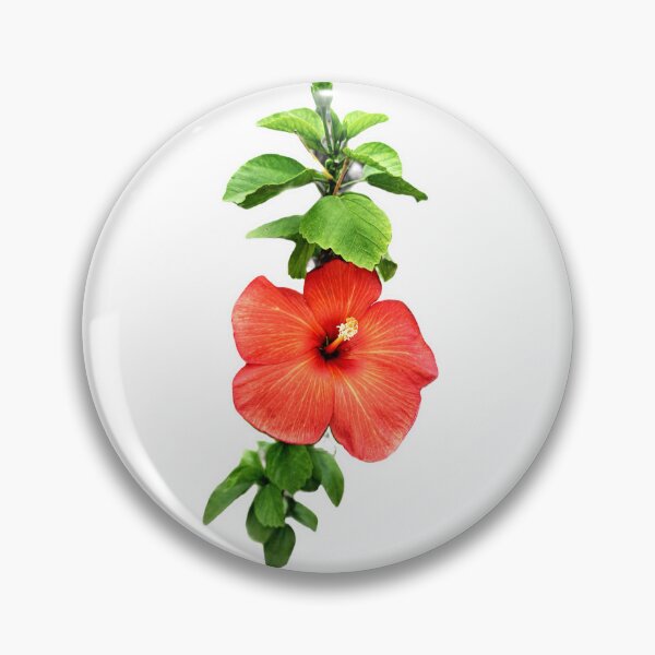 Item preview, Hibiscus - Forget me Not! designed and sold by Roysdisturbia.