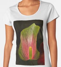 Glowing Rays Set Dreams Ablaze Premium Scoop T-Shirt