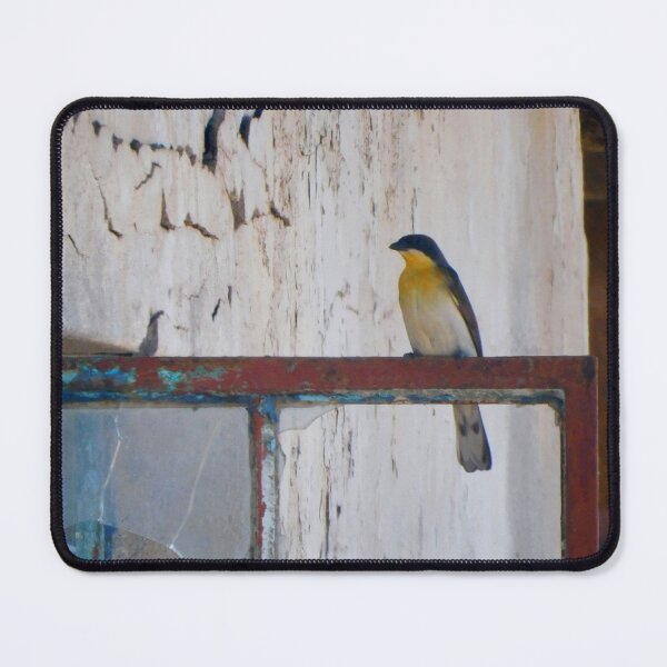 Item preview, Greater Honeyguide designed and sold by Zoeljartwork.