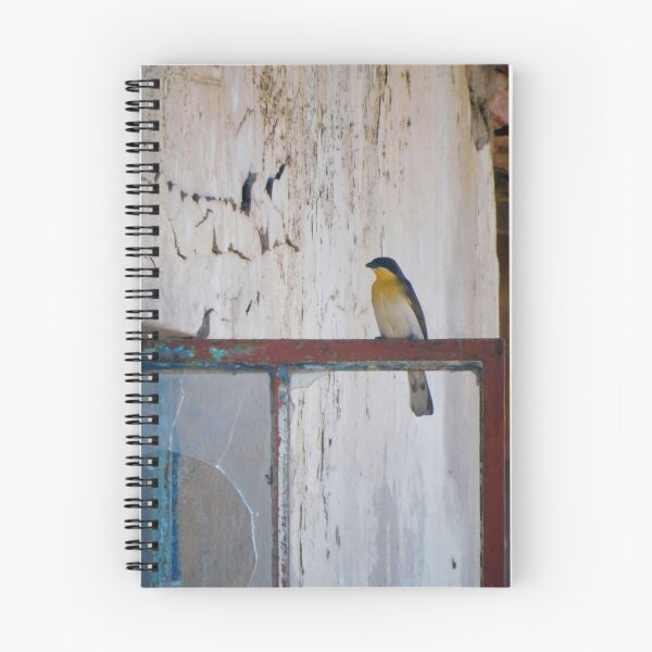 Item preview, Greater Honeyguide designed and sold by Zoeljartwork.
