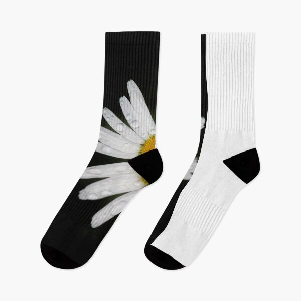 Item preview, White big chamomile on black background designed and sold by olena2552.